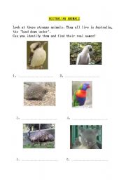 English worksheet: Australian animals