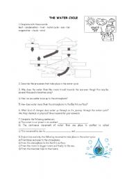 English Worksheet: The water cycle