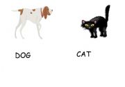 English worksheet: ANIMALS