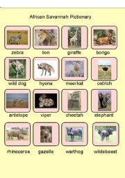 English Worksheet: African Savannah Pictionary