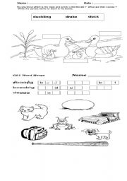 English worksheet: animals