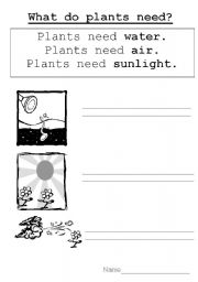 English Worksheet: What plants need