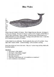 English Worksheet: Blue Whales