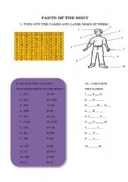 English Worksheet: Parts of the body