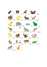 English Worksheet: animals