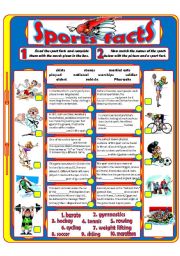 English Worksheet: Sports Facts