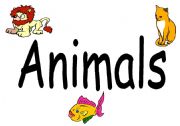 English Worksheet: animals flashcards