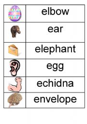 English worksheet: e - picture/word match