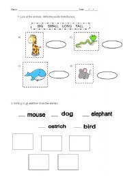 English worksheet: Animals