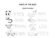 English Worksheet: MY BODY GLOSSARY