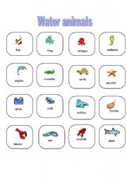 English Worksheet: Water animals-pictionary