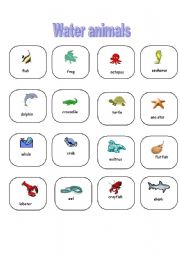 English worksheet: Water animals-pictionary