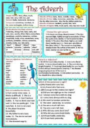 English Worksheet: The Adverb