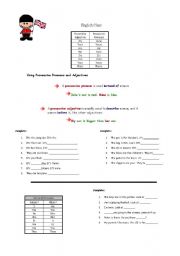 possessive pronouns 