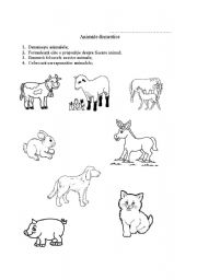 English worksheet: animals