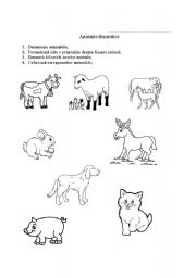 English Worksheet: animals