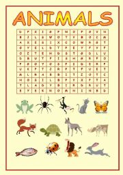 English Worksheet: ANIMALS