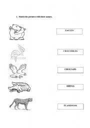 English worksheet: wild animals