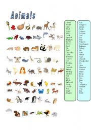 English Worksheet: Animals-67 animals matching