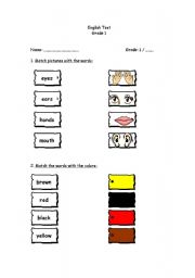 English worksheet: body and colors