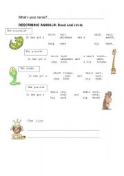 English Worksheet: DESCRIBING ANIMALS