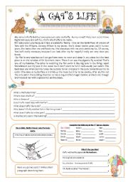 English Worksheet: A cats life