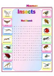 English Worksheet: Insects Word Search