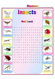 Insects Word Search