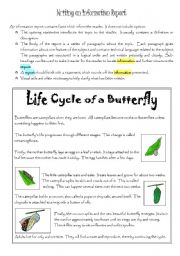 English Worksheet: Writing an Information Report