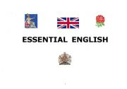 English Worksheet: ESSENTIAL ENGLISH