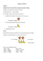 English Worksheet: Singular and Plural