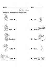 English Worksheet: five senses