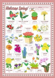 English Worksheet: WELCOME SPRING!