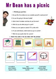 English Worksheet: Mr Bean has a picnic - VIDEO SESSION