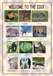 English Worksheet: WELCOME TO THE ZOO!
