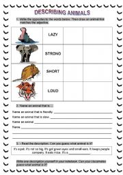 English worksheet: Describing animals