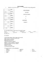 English Worksheet: Test paper