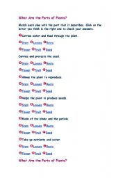 English Worksheet: PLANTS