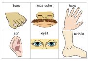 English Worksheet: Body Parts