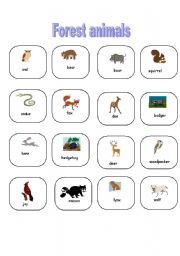 English worksheet: Forest animals-pictionary