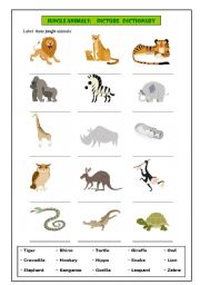 Jungle animals: picture dictionary