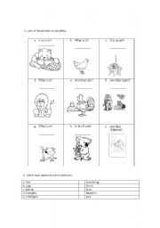 English worksheet: THEY ARE, IT IS WITH ANIMALS