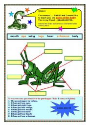 English Worksheet: Parts of the body & has got 