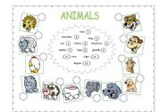 English Worksheet: ANIMALS