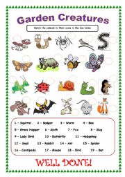 English Worksheet: Garden Creatures