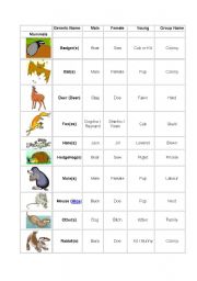 English worksheet: ANIMALS (1)