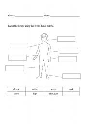 English worksheet: Joints