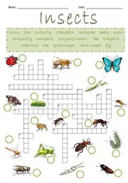 Insects Crossword Puzzle