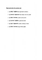 English worksheet: ANIMALS