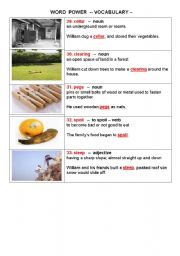 English Worksheet: Vocabulary